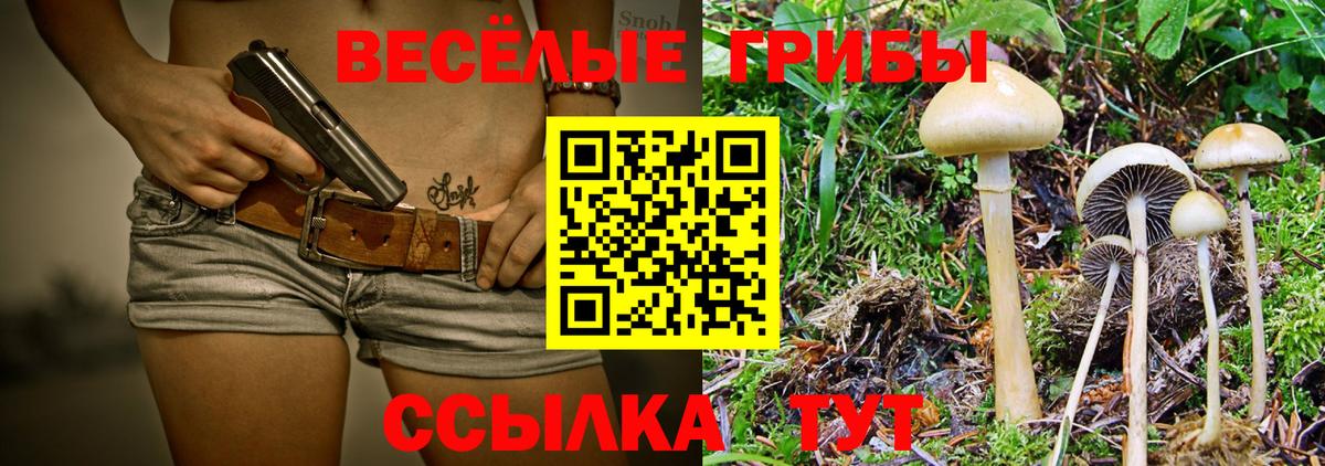 Гусев  Галлюциногенные грибы MAGIC MUSHROOMS  Вход с VPN 