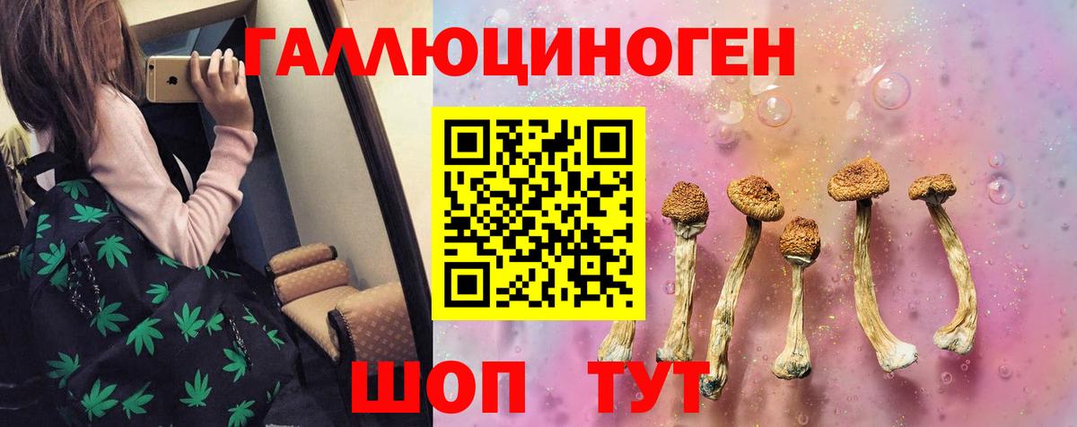 Галлюциногенные грибы мухоморы Гусев