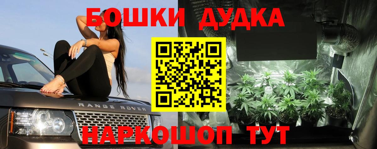 Каннабис конопля  Вход с VPN  Гусев  Бошки марихуана конопля  МАРИХУАНА ГИДРОПОН 